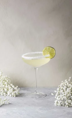 Champagne Coupe vinglas - 20 cl - 1 st