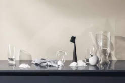 Diskborste - Silikonehår - Black